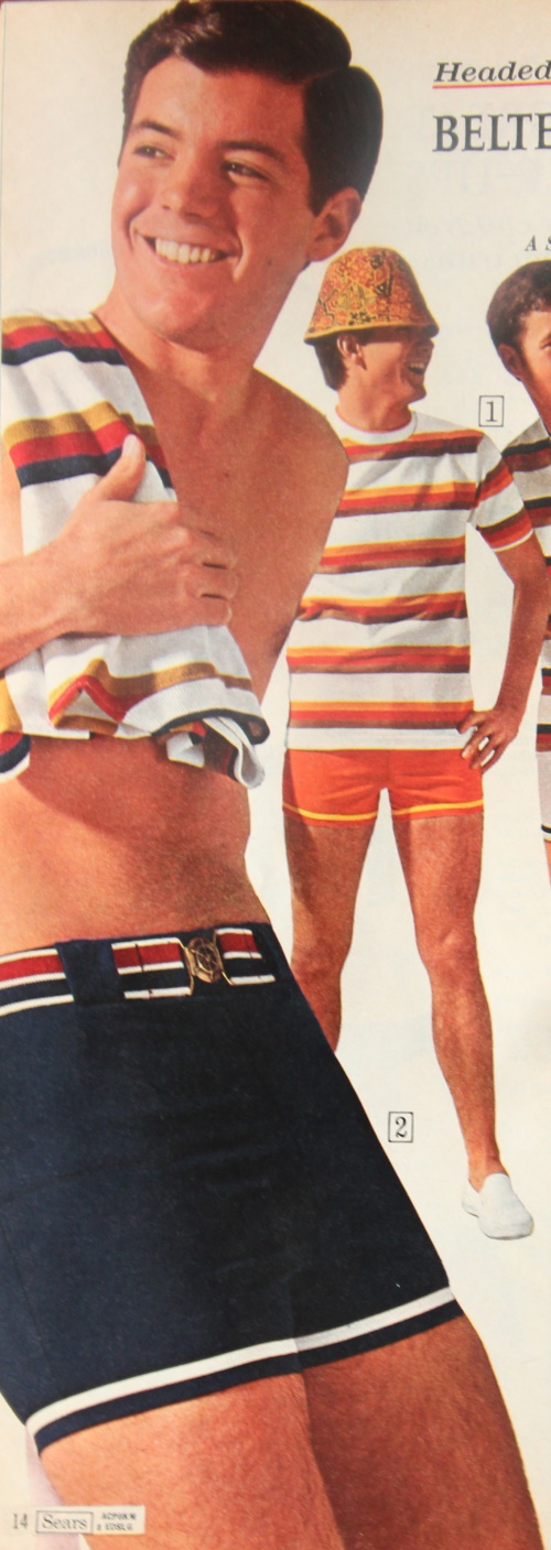 Retro Men's Swim Trunks 1960s, 1970s, 1980s History