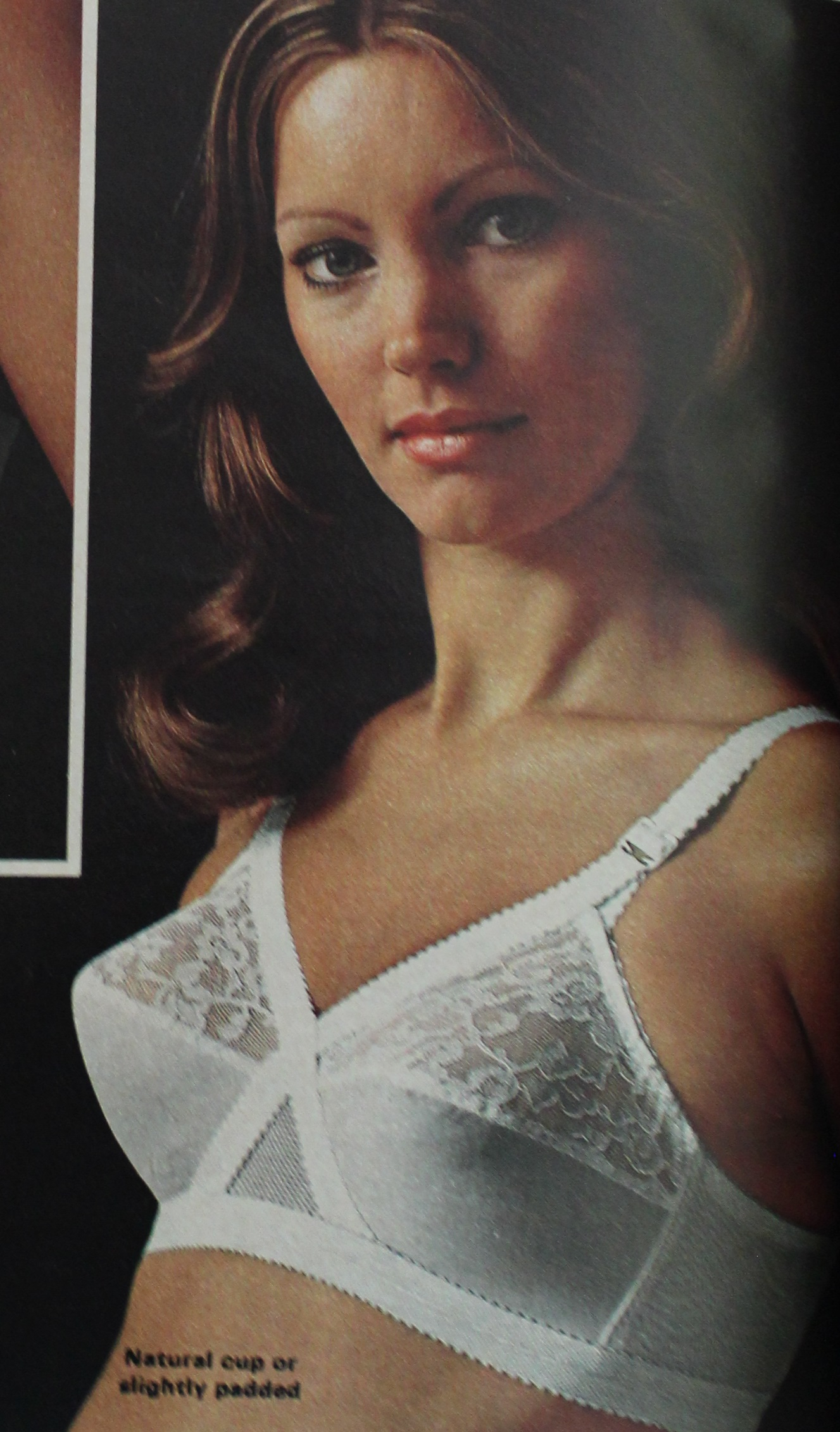 1970s-lingerie-fashion-panties-bras-teddies-slips